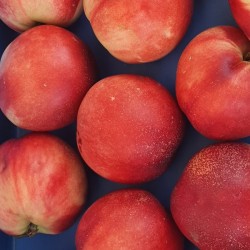 Nectarines blanches ou...