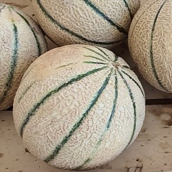 Melon - 1kg