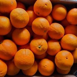 Orange à jus d'Espagne - 1kg