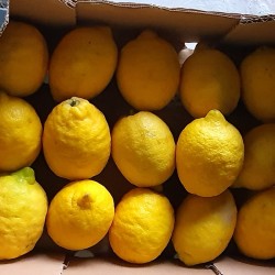Citron jaune - 500g