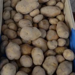 Pommes de terre Bintje - 500 g