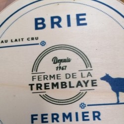 Brie Fermier Bio 100 g