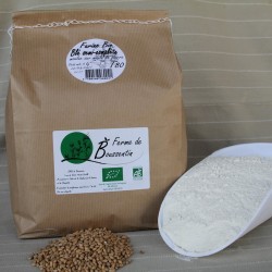 Farine de blé semi-complète T80 BIO 5 kg, de la Ferme de Boussentin, sur le Marché en ligne de la Conciergerie