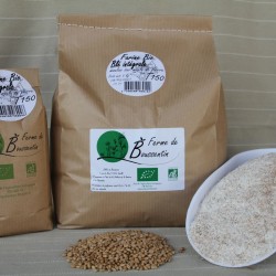 Farine de blé intégrale BIO 1 KG et 5 KG, de la Ferme de Boussentin, en vente sur le Marché en ligne de la Conciergerie